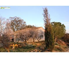 ALMACÉN (DE UNOS 96 M2) CON FINCA DE REGADIO (DE UNOS 11.000 M2).