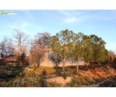 ALMACÉN (DE UNOS 96 M2) CON FINCA DE REGADIO (DE UNOS 11.000 M2).