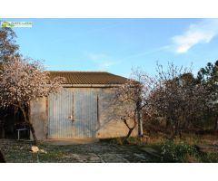 ALMACÉN (DE UNOS 96 M2) CON FINCA DE REGADIO (DE UNOS 11.000 M2).