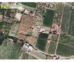 FINCA RÚSTICA (DE UNOS 5.500 M2) CON ALMACÉN (DE UNOS 320 M2) EN LES BORGES BLANQUES.