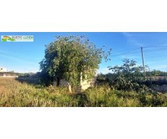 TERRENO (DE UNOS 2.000 M2) CON CABAÑA (DE UNOS 19 M2), EN LOS ALREDEDORES DE ARBECA.