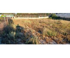 TERRENO (DE UNOS 2.000 M2) CON CABAÑA (DE UNOS 19 M2), EN LOS ALREDEDORES DE ARBECA.
