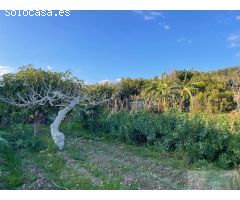 Finca rustica en Venta en Salobreña, Granada