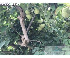 Finca rustica en Venta en Salobreña, Granada