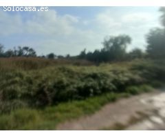 Terreno rural en Venta en Sagunto, Valencia