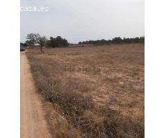 Terreno en venta en calle des codolar San jose