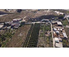 VENTA DE TERRENO RÚSTICO 9700 M2,  CON OLIVOS EN PRI0UCCIÓN Y AGUA EN VILLALOBOS , HUERCAL DE ALMER