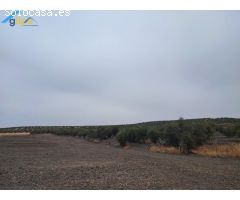 GRAN PARCELA RUSTICA CERCA DE PARADAS Y CERCA DE LA AUTOVIA A92