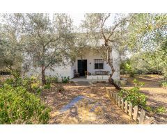 Chalet cercano, en la venta el Monje.