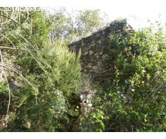 Finca rustica en Venta en Sant Feliu de Buixalleu, Girona