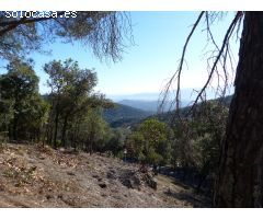 Parcela en Venta en Arbúcies, Girona