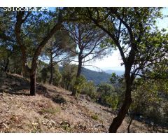 Parcela en Venta en Arbúcies, Girona