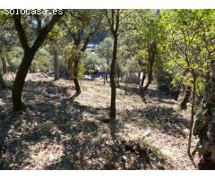 Parcela en Venta en Arbúcies, Girona