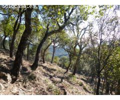 Parcela en Venta en Arbúcies, Girona