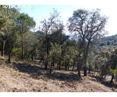Parcela en Venta en Arbúcies, Girona