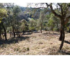 Parcela en Venta en Arbúcies, Girona