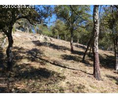 Parcela en Venta en Arbúcies, Girona