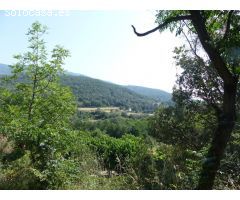 Chalet en Venta en Fogars de Montclús, Barcelona