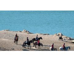 Finca rustica en Venta en Montroig, Tarragona