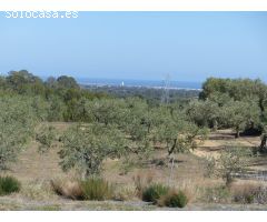 Finca rustica en Venta en Montroig, Tarragona