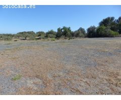 Finca rustica en Venta en Montroig, Tarragona
