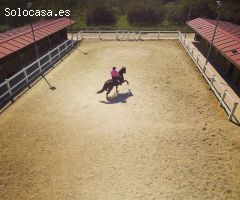 Finca rustica en Venta en Montroig, Tarragona