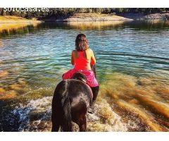 Finca rustica en Venta en Montroig, Tarragona