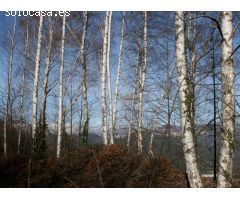 Finca rustica en Venta en Susqueda, Girona