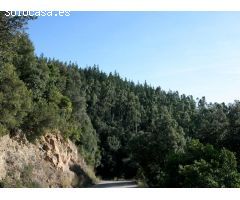 Finca rustica en Venta en Susqueda, Girona