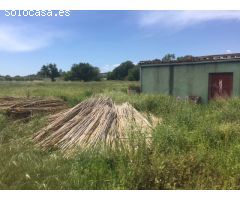 Finca rustica en Venta en Sant Genís de Palafolls, Barcelona