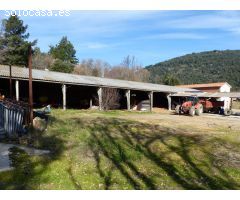 Nave en Venta en Riells i Viabrea, Girona