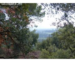 Parcela en Venta en Tordera, Barcelona