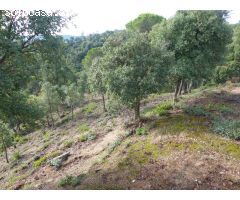 Parcela en Venta en Tordera, Barcelona