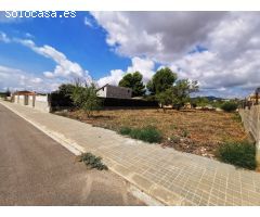 LLANO Y SOLEADO. CON TODOS LOS SERVICIOS