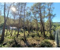 ¡En zona tranquila y rodeada de naturaleza!