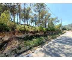 ¡Oportunidad en Les Palmeres, frente al futuro Natura Park!