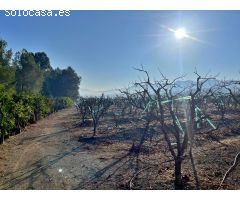 ¡Bienvenido al paraíso rural en Barxeta, Valencia!