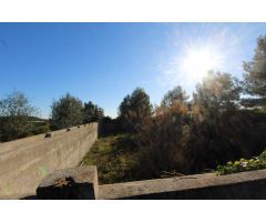 Venta de Terrenos Rústicos en Onda, Castellón aptos para cultivo de cítricos