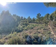 Venta de Terreno de 9.098 m² en Godelleta, Valencia