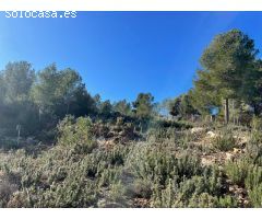 Venta de Terreno de 9.098 m² en Godelleta, Valencia