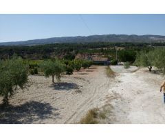 Terreno-Camino la Perdiguera - Ontinyent