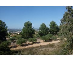 Finca La Farola Ontinyent