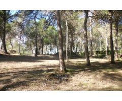 Terreno en Garrofer de LHora - Ontinyent