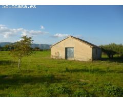 Terreno en Camí Vell de Alfafara