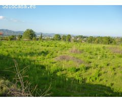 Terreno en Camí Vell de Alfafara