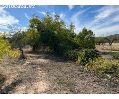 Parcela en suelo urbanizable - Ontinyent