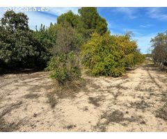 Parcela en suelo urbanizable - Ontinyent