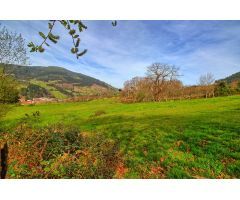 TERRENO RUSTICO EN BALMASEDA