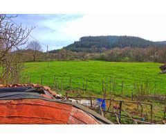 TERRENO RUSTICO EN BALMASEDA