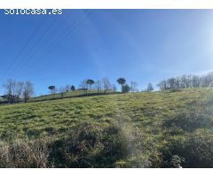 TERRENO RUSTICO EN BALMASEDA